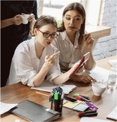 Web Development Team